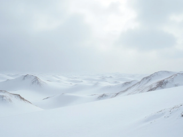 Fenômeno Incrível: Neve no Deserto de Al-Nafūd Surpreende o Mundo